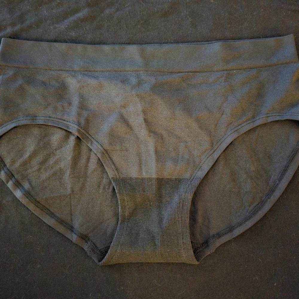 Victoria's Secret Hiphugger Panty Sz L NWT